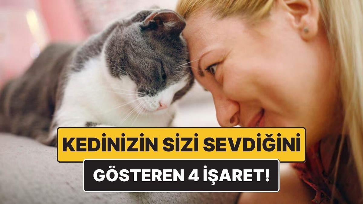 Bilime Göre Kedinizin Sizi Sevdiğini Gösteren 4 Önemli İşaret
