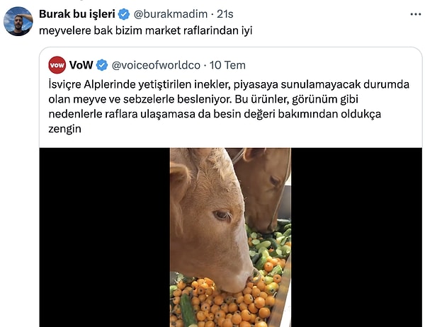 İsviçre bu boru mu?