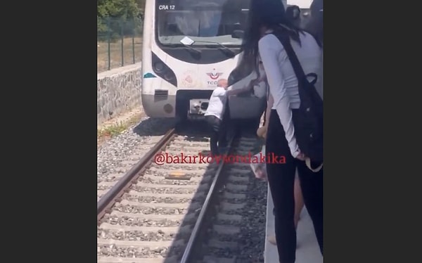 İstanbul sokaklarında özgürce dolaşan kediler, şehrin simgelerinden biri haline gelmiş durumda.