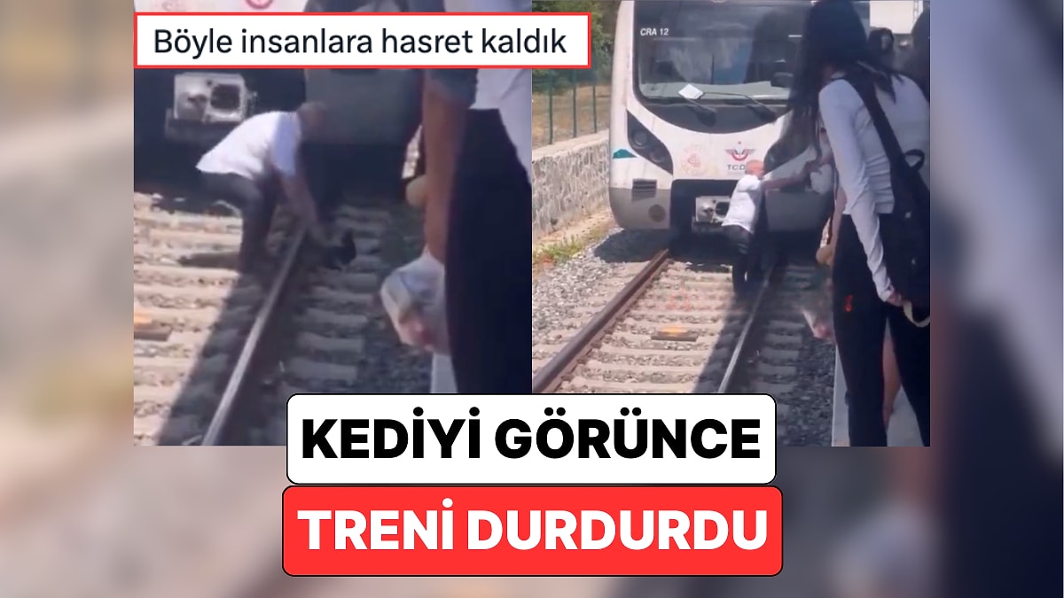 Boşuna Kedi Şehri Demedik: Bakırköy’de Seyir Halindeki Bir Makinist, Raylardaki Kediyi Görünce Treni Durdurdu