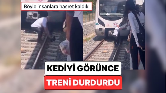 Boşuna Kedi Şehri Demedik: Bakırköy’de Seyir Halindeki Bir Makinist, Raylardaki Kediyi Görünce Treni Durdurdu