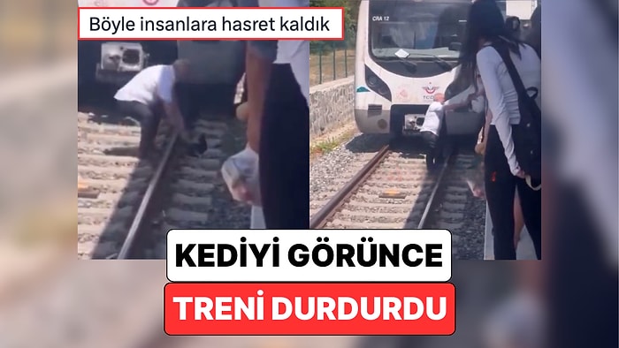 Boşuna Kedi Şehri Demedik: Bakırköy’de Seyir Halindeki Bir Makinist, Raylardaki Kediyi Görünce Treni Durdurdu