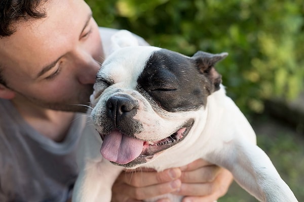 Köpek sahiplerinin hafızası daha keskin, kedi sahiplerinin sözel becerileri daha dirençli.
