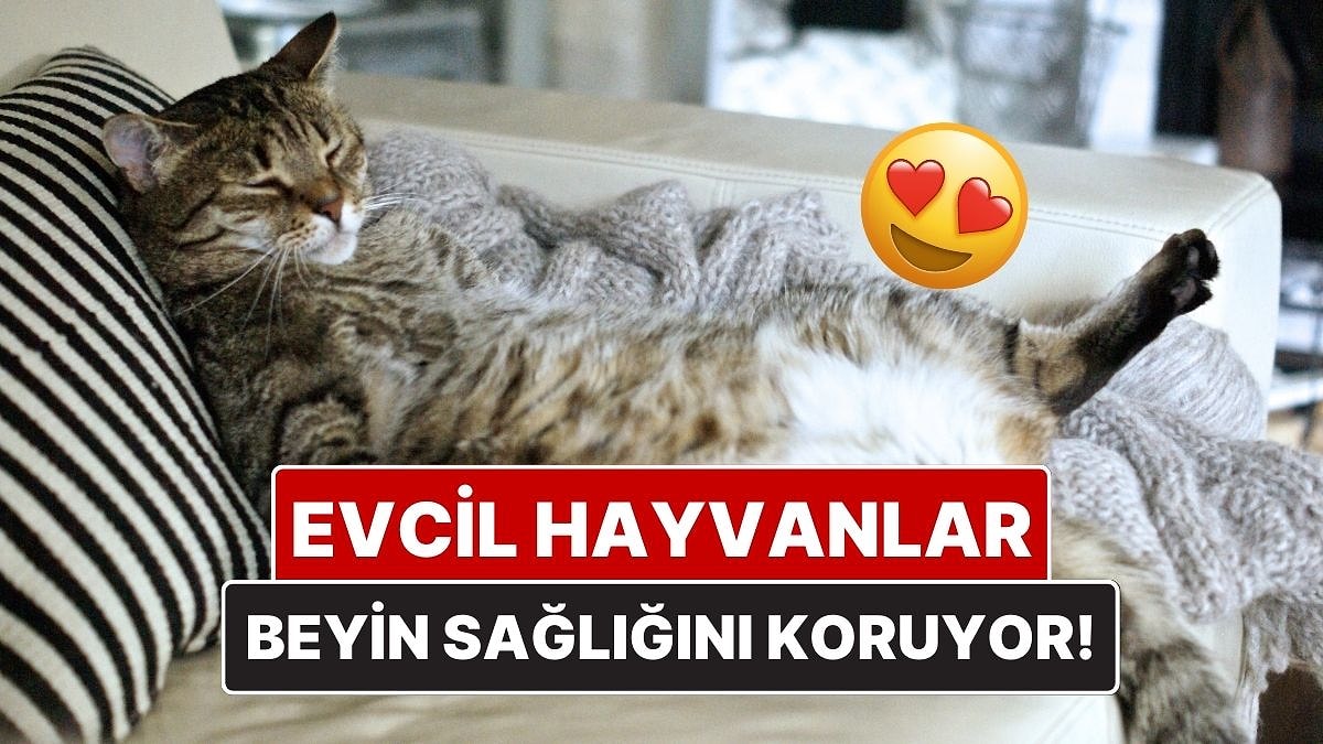 Son Dakika Haber Görseli