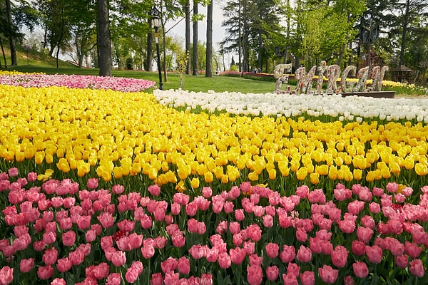Other Places to See near Bebek