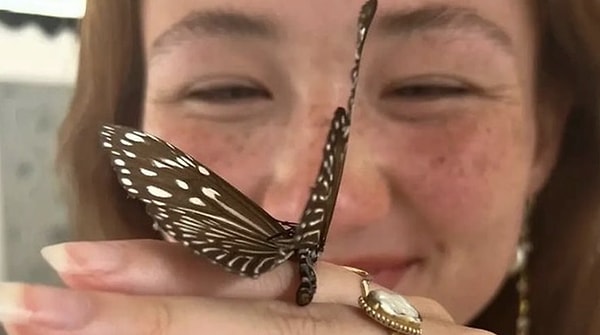 Bir Bakışla Anlaşabilmek