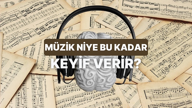 Bilim Cevaplıyor: Müziği Keyifli Kılan Şey Ne?