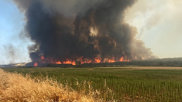 Tekirdağ Şarköy ilçesi Kocaali mevkiinde çıkan orman yangını kısa sürede tarım arazilerine ve yerleşim yerlerine sıçradı.