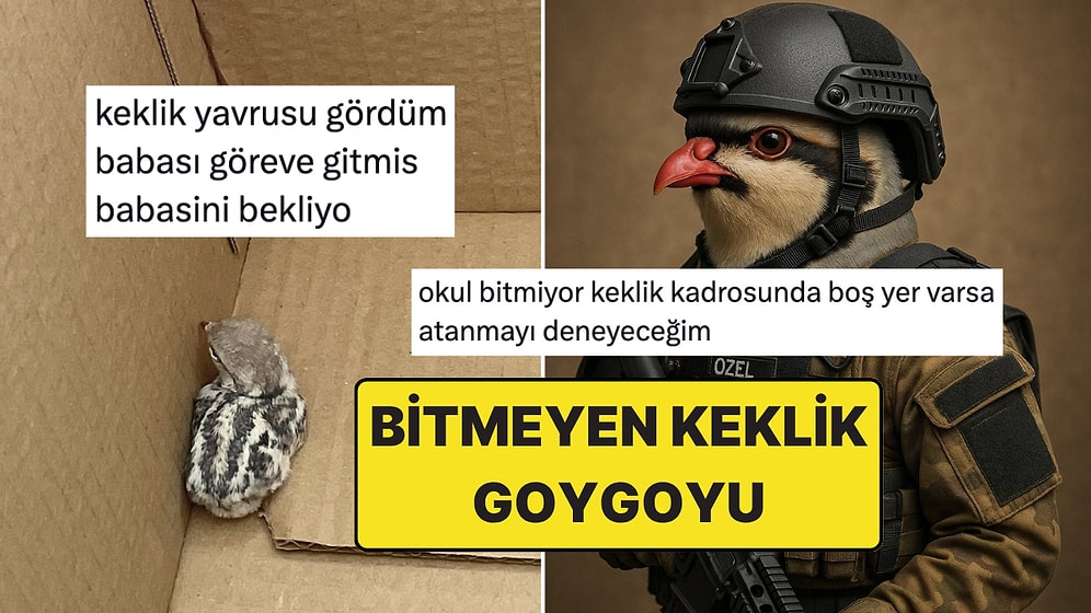 Keklik Özel Harekatın İşe Başlamasıyla Azalan Kene Popülasyonu Yine Sosyal Medya Gündeminde