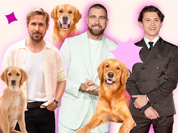 "Golden Retriever Partner" ne demek?