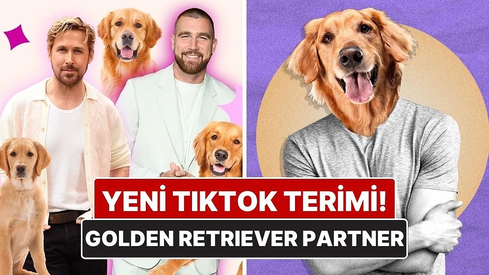 TikTok’ta Trend Olmuştu! "Golden Retriever Partner" Ne Anlama Geliyor?