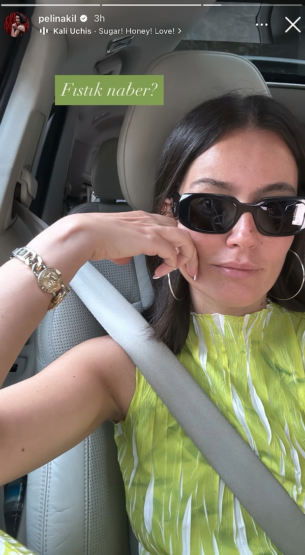 Pelin Akil