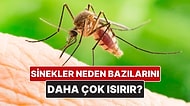 Sivrisinekler Neden Bazı İnsanları Daha Çok Isırır?