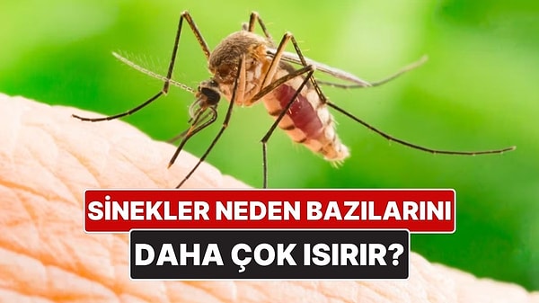 Kapak Görseli