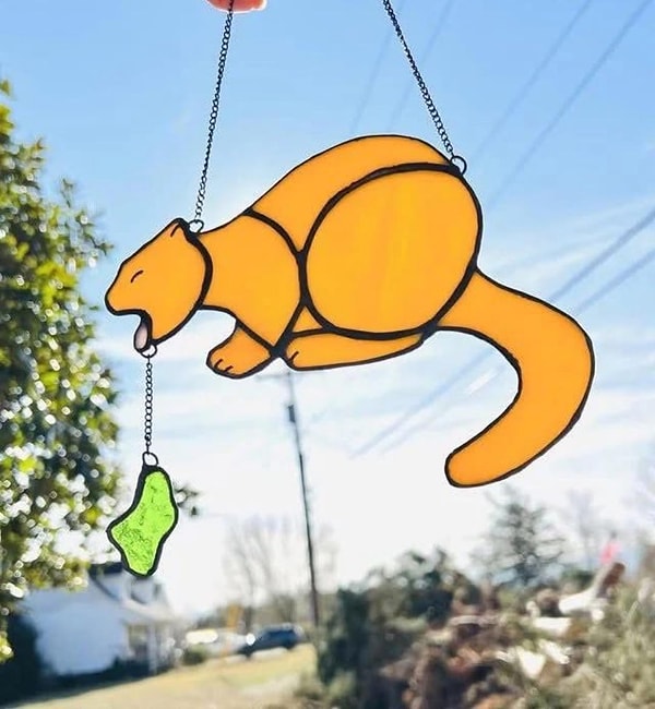 10. Kedi severler isyanda!