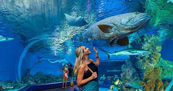 What is Antalya Aquarium?