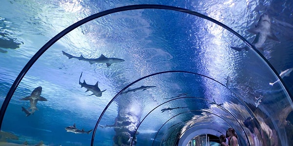 What is Antalya Aquarium Famous for?