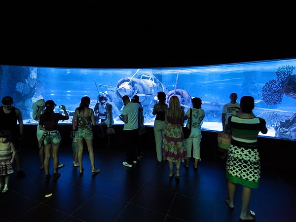 Is Antalya Aquarium Worth Visiting?