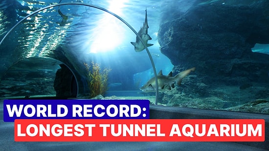 All You Need to Know About Antalya Aquarium: Turkey's Most Fascinating Aquarium