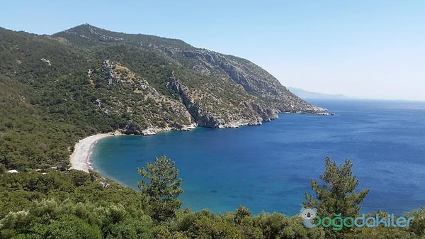 3. Domuz Çukuru Bay