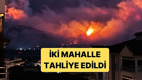 Sakarya'daki Yangın Yerleşim Yerleri ve Tarım Arazilerine Sıçradı