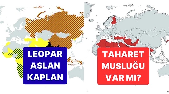 İncelemelere Doyamayacağınız Bu 10 Harita Hayata Bakış Açınızı Değiştirebilir!