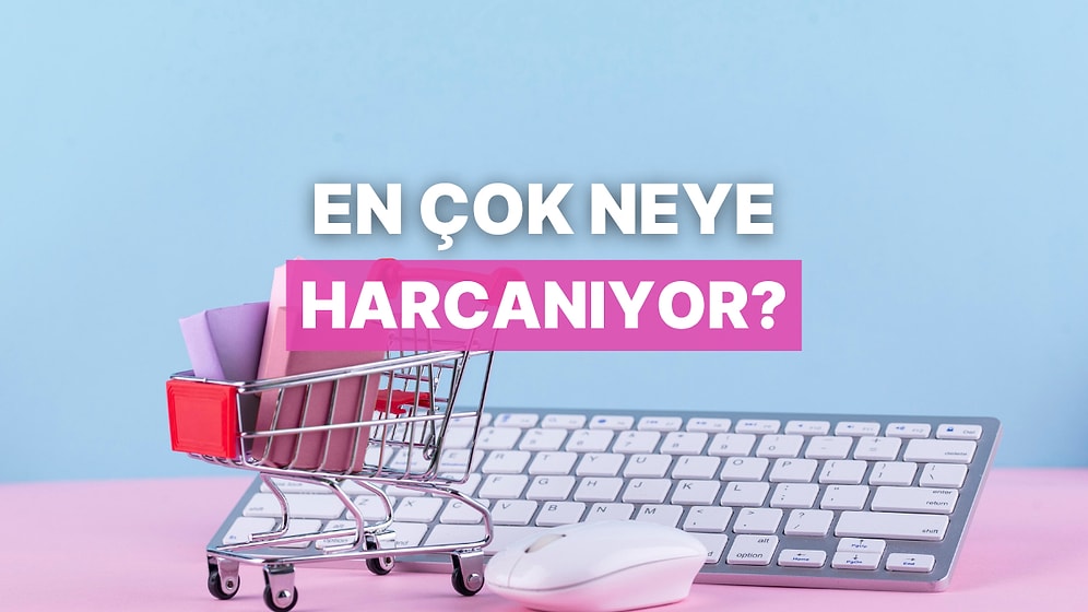 Online Alışverişte En Çok Harcama Yapılan 10 Ürün Grubu