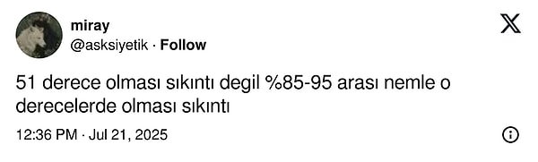 👇🏻