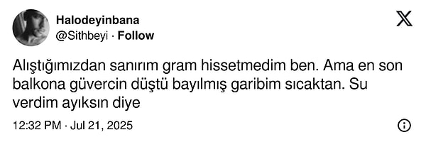 👇🏻