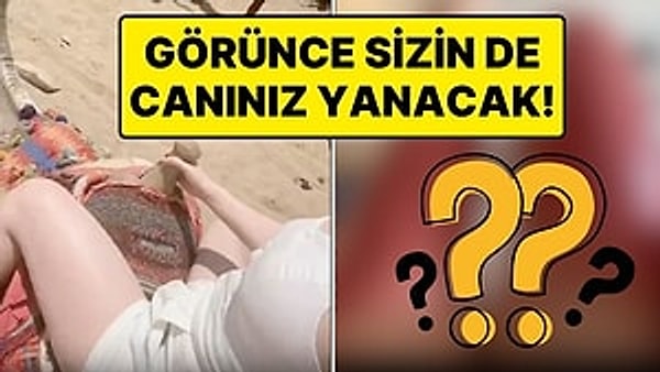 Mısır’a giden bir kadın her turist gibi çölde deveye bindi.