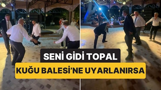 'Topal' Oyun Havasının Kuğu Gölü Balesi'nin Müziğiyle Olan Uyumuna Şaşıracaksınız