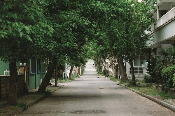 Historical and Cultural Heritage of Kinaliada