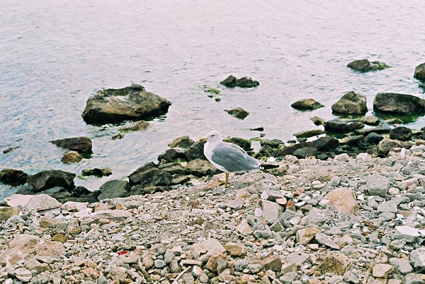 Where to Swim in Kinaliada?