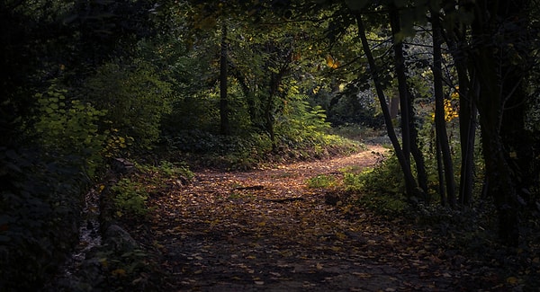 9. Polonezköy Hiking Trail