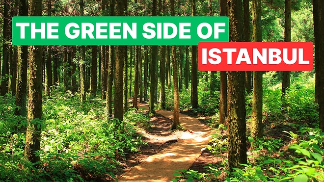 Top Nature Spots in Istanbul for Peaceful Walks and Green Getaways
