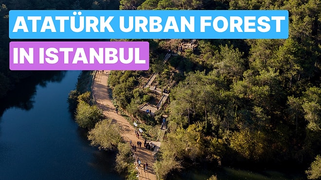 Explore Atatürk Urban Forest: Istanbul’s Green Escape for Nature Lovers