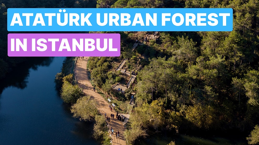 Explore Atatürk Urban Forest: Istanbul’s Green Escape for Nature Lovers