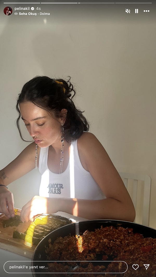 Pelin Akil