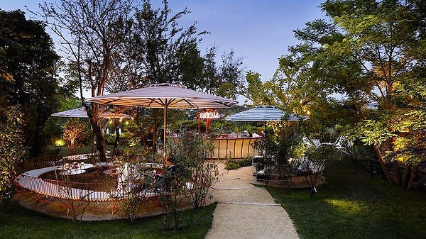 3. Backyard, Bebek