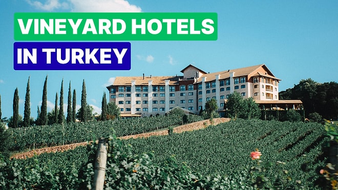 Most Delightful Vineyard Hotels in Turkey for a Peaceful Getaway