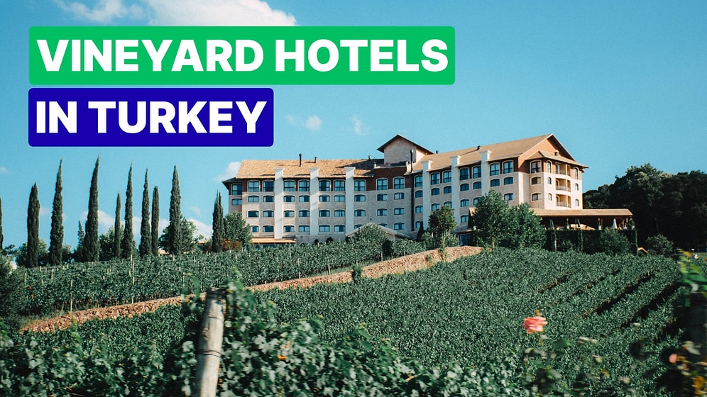Most Delightful Vineyard Hotels in Turkey for a Peaceful Getaway