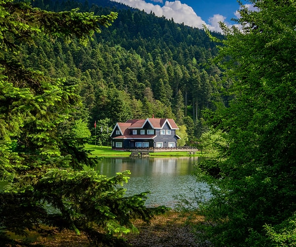 The Beauty of Nature in Abant