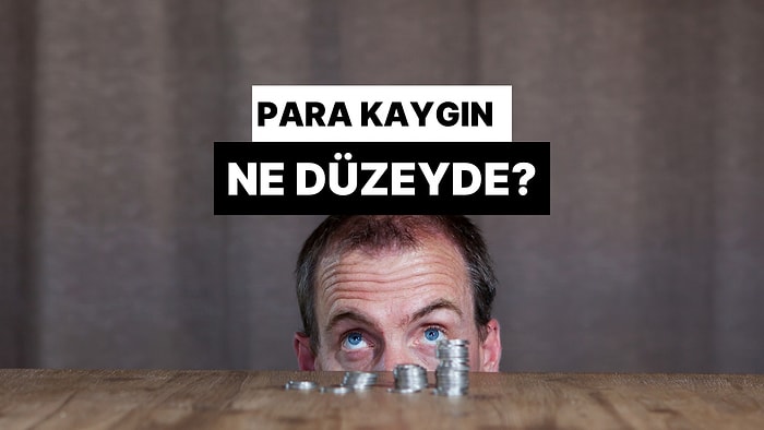 Para Kaygın Ne Düzeyde?