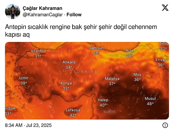 👇🏻