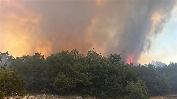 Eskişehir'deki orman yangınlarında 10 emekçimiz şehit oldu.