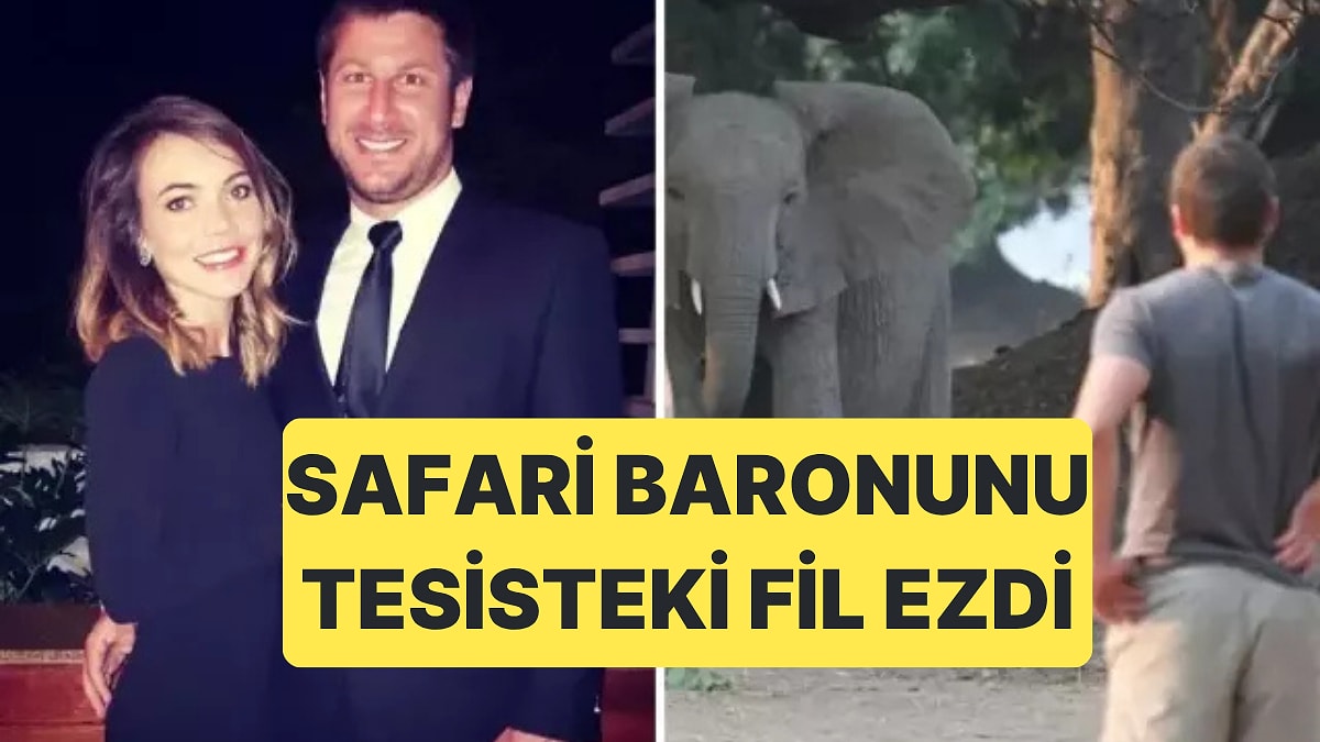 Güney Afrika&apos;da Av ve Safari Tesisi Sahibi CEO Fil Saldırısına Uğrayarak Hayatını Kaybetti