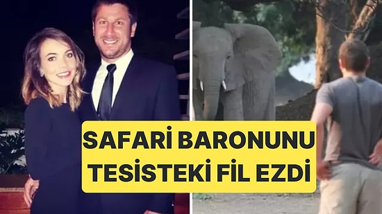 Güney Afrika'da Av ve Safari Tesisi Sahibi CEO Fil Saldırısına Uğrayarak Hayatını Kaybetti