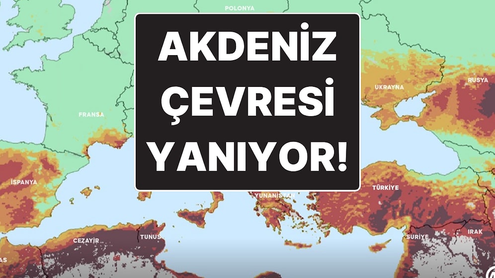 Akdeniz Çevresinde Tehlike Büyük: Türkiye’de Orman Yangınları İçin En Riskli Bölgeler Belli Oldu
