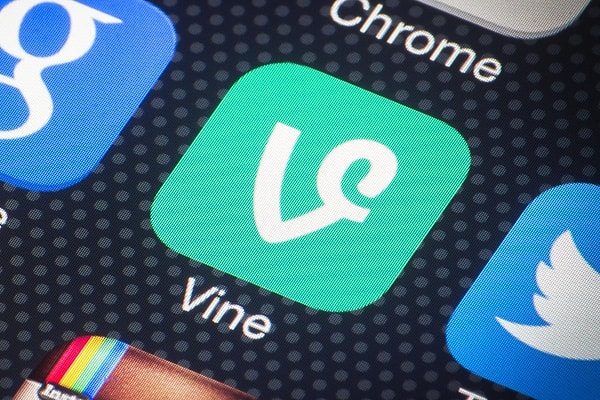 Vine neden kapanmıştı?