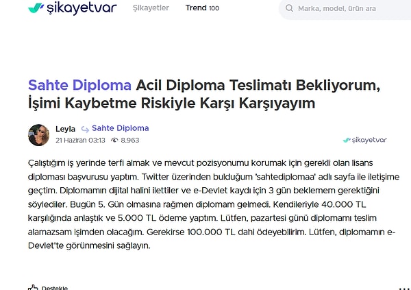 Bir kullanıcı, "sahte diploma" başlığının altına yazdığı şeyle gündem oldu.